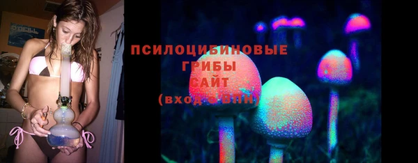 кокс Ельня