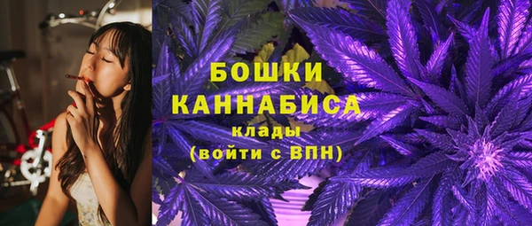 кокс Ельня