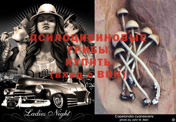 кокс Ельня