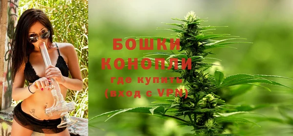 кокс Ельня