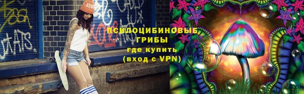 мяу мяу мука Елизово