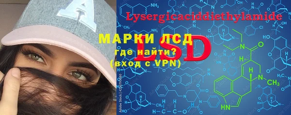 мяу мяу мука Елизово